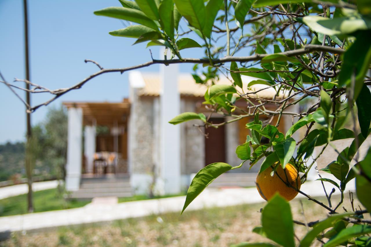 To Stolidi Tis Psinthou Psinthos Exterior foto